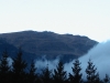 padure-sinaia.jpg